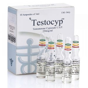 Buy Testocyp