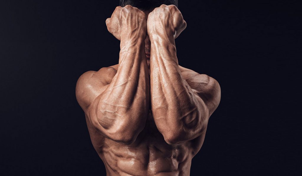 bodybuilders back muscles